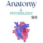 Human Anatomy and Physiology 1st semester Solved Question Paper-PDF